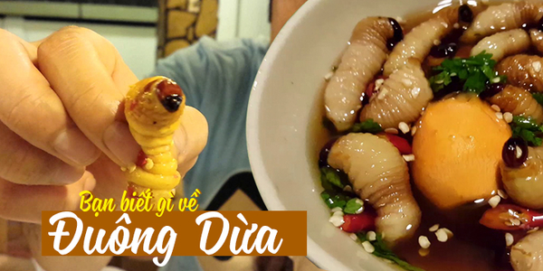Đuông dừa: Đặc sản "kinh dị" của miền Tây, ăn là mê nhưng chẳng dành cho người nhát gan!