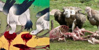 Xẻ thịt người chết làm thức ăn cho kền kền: tục lệ ghê rợn của người Tây Tạng