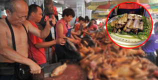 Có một điều Hàn Quốc muốn giấu cả thế giới: Chợ thịt chó nhộn nhịp và văn hóa thịt chó lâu đời