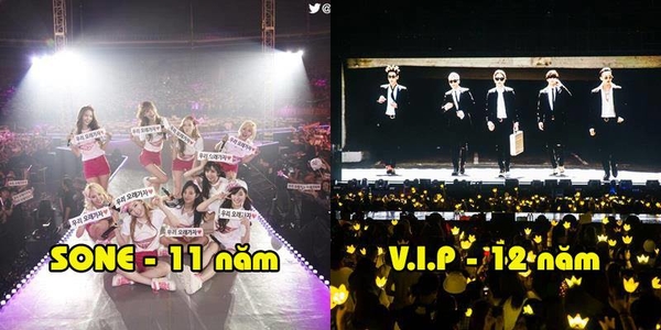 Top 10 fandom sống dai nhất Kpop, hạng 1 gây bất ngờ vì còn "già" hơn cả lứa idol hiện tại
