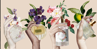 Mẹo Mua Sắm: Phân biệt các nhóm hương nước hoa để mùi hương phù hợp với tính cách và sở thích