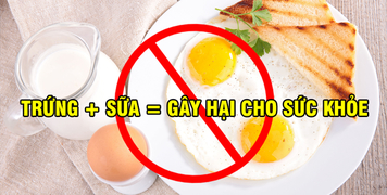 Góc Cảnh Giác: Những loại thực phẩm gây nguy hại cho sức khỏe khi kết hợp cùng với trứng Góc Cảnh Giác: Những loại thực phẩm gây nguy hại cho sức khỏe khi kết hợp cùng với trứng