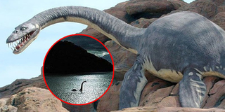 Bí Ẩn Cuộc Sống: "Sinh vật huyền thoại" khiến tất cả mọi người đều ám ảnh - quái vật hồ Loch Ness
