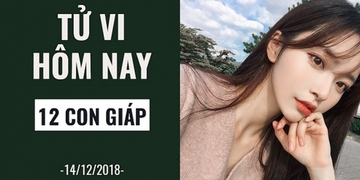 Tử vi ngày 14/12/2018 của 12 con giáp: tuổi Tý gặp may mắn, tuổi Hợi chớ giận người thương Tử vi ngày 14/12/2018 của 12 con giáp: tuổi Tý gặp may mắn, tuổi Hợi chớ giận người thương