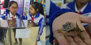 Chỉ mới lớp 8, hai học sinh đã sáng tạo được thùng rác có khả năng... "ăn" rác khiến anh chị kính nể Chỉ mới lớp 8, hai học sinh đã sáng tạo được thùng rác có khả năng... "ăn" rác khiến anh chị kính nể