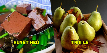 Thực Dưỡng: 5 thực phẩm được ví là "máy hút bụi" cho lá phổi bị đen sạm vì khói thuốc lá mỗi ngày Thực Dưỡng: 5 thực phẩm được ví là "máy hút bụi" cho lá phổi bị đen sạm vì khói thuốc lá mỗi ngày