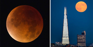 Tháng Một này, hiện tượng siêu trăng máu cực thú vị sẽ tái xuất, tuy nhiên...