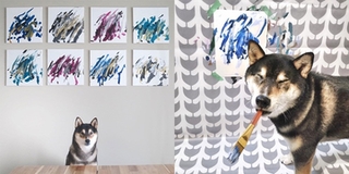 “Chó nhà người ta” có Instagram riêng, giúp chủ kiếm hơn 116 triệu đồng nhờ tài vẽ tranh "cực độc"