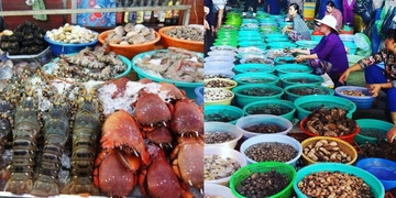 7 địa điểm mua hải sản tươi ngon, giá lại phải chăng ở Vũng Tàu 7 địa điểm mua hải sản tươi ngon, giá lại phải chăng ở Vũng Tàu