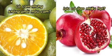10 sự thật bất ngờ về các loại trái cây, thú vị nhất chính là dâu tây 10 sự thật bất ngờ về các loại trái cây, thú vị nhất chính là dâu tây