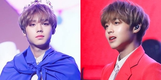 Trời ơi tin được không, mỹ nam WANNA ONE lấy 1 từ tiếng Việt để đặt tên fandom