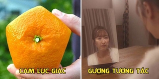 10 phát minh của người Nhật khiến bạn muốn “tan chảy” vì quá tinh tế