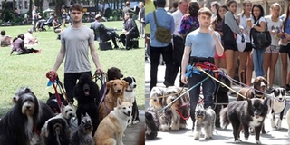 Chất như “Harry Potter”: Dắt hơn 10 chú chó đi dạo, gây "bão" khắp đường phố New York