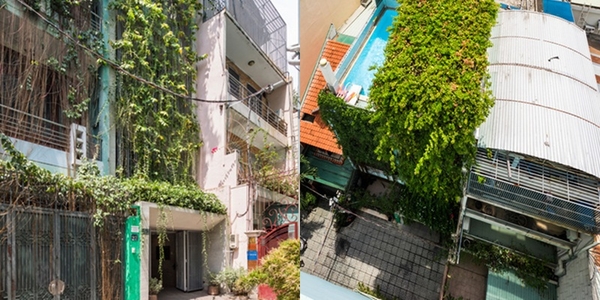Cận cảnh ngôi nhà "trộm không biết đường vào" ngay giữa lòng trung tâm Sài Gòn