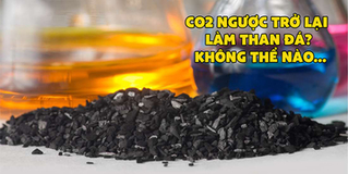 Khoa học "tua ngược" quá trình ô nhiễm, bắt khí CO2 phải trở ngược về làm than đá!