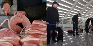 KHUYẾN CÁO: Du khách xuất cảnh từ VN mang theo thịt lợn đến Đài Loan có thể bị phạt 750 triệu đồng