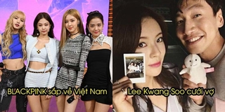Tin mừng với fan Kpop: BLACKPINK sắp về Việt Nam, Lee Kwang Soo kết hôn vào tháng 6