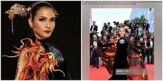 Hết Ngọc Trinh đến lượt Trương Thị May bị báo chí nước ngoài nhầm lẫn trên thảm đỏ Cannes