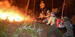 Ngày thứ ba, đám cháy rừng ở Hà Tĩnh vẫn đang tiếp tục bùng phát, bắt nghi phạm vụ cháy làm rõ lý do