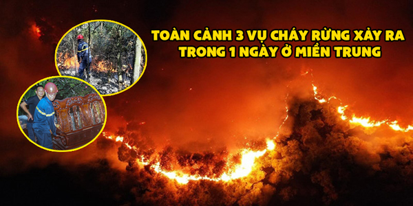 CĐM đồng loạt chia sẻ hình ảnh lửa dữ trong vụ cháy rừng ở miền Trung: "Chỉ mong trời đổ cơn mưa"