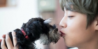 Nghiên cứu tại Mỹ cho thấy, người nuôi chó thích hôn chúng hơn cả người yêu