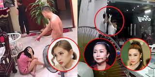 Sao Việt bức xúc trước các clip vũ phu, vợ bị đánh nặng nề gây tranh cãi