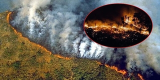 Rừng Amazon bị thiêu cháy trong 16 ngày qua: "Lá phổi" của thế giới đang hấp hối!