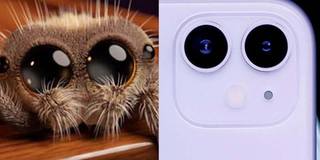 Ra mắt chưa đầy 24giờ, camera của iPhone 11 đã bị chê như cái mắt ruồi