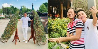 Đàm Vĩnh Hưng mang hai cây cảnh hình con công đi dâng Tổ nghề