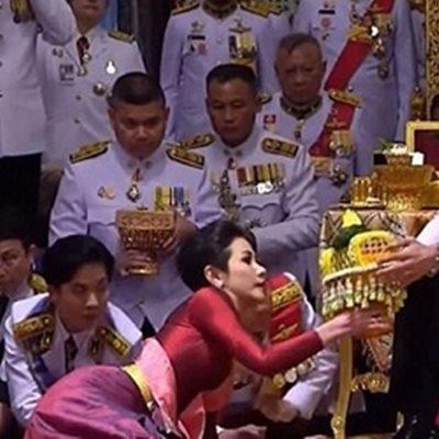 yan.vn - tin sao, ngôi sao - Tội khi quân ở Thái chỉ vì chê cún của Vua cũng bị phạt nặng