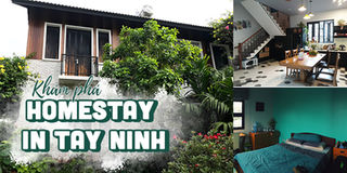 Homestay in Tay Ninh - Trốn Sài Gòn về homestay đồng quê siêu chất tại Tây Ninh