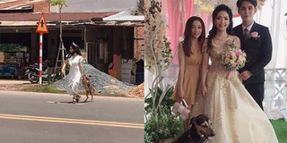 Cô dâu vội vã chạy sang đường lôi cún cưng về chụp ảnh trong ngày cưới