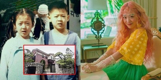 Anh trai Sulli khẳng định không nhận thừa kế tiền của em gái