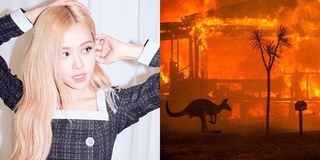 Rosé (BLACKPINK) bị chỉ trích vì kêu gọi hỗ trợ vụ cháy rừng ở Úc