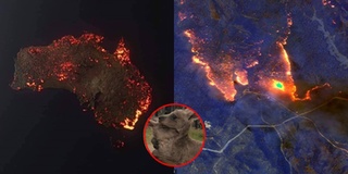 Đằng sau bức ảnh cháy rừng ở Úc khiến không ít người lo sợ
