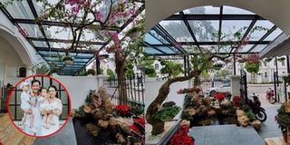 Tuấn Hưng xây nhà vườn siêu xịn sò ở biệt thự tiền tỷ