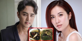 Những lần sao Hoa Ngữ bị ép ăn thịt dơi dẫn đến bị tẩy chay