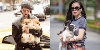 Phượng Chanel bắt chước Ngọc Trinh ôm cún cưng xuống phố