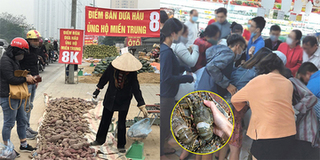 Hà Nội tràn lan những điểm bán hỗ trợ giải cứu nông sản