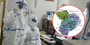 Hàn Quốc: Đã tìm thấy kháng thể vô hiệu hóa virus Corona