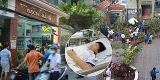 Phụ huynh kể cảnh cây bật gốc khiến 1 học sinh tử vong