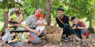Lê Phương khoe cận cảnh vườn trái cây hoành tráng ở Tây Ninh