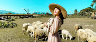 Du lịch Bình Hưng và Ninh Thuận nên chơi gì: Chụp ảnh ở đồng cừu