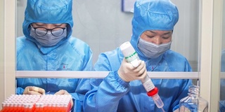 Kháng thể ở bệnh nhân SARS 17 năm trước có thể chặn SARS-CoV-2