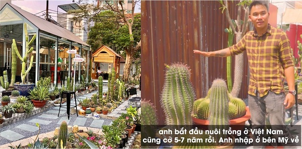 Chàng trai dừng "ước mơ Mỹ" làm vườn xương rồng lớn nhất Sài Gòn