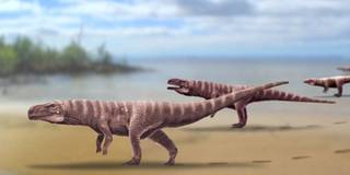 Cá sấu cổ đại có thể từng di chuyển bằng 2 chân, "phi" như đà điểu