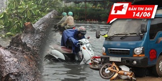 Bản tin 24h: TP.HCM mưa lớn, cây ngã đổ khiến 1 người tử vong