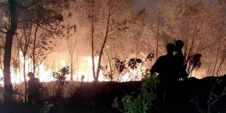 Nguyên nhân vụ cháy rừng ở Hà Tĩnh: Do người dân thắp nhang