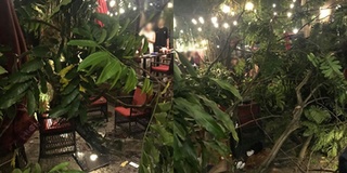 Cành cây gãy trúng quán cà phê lớn ở Hà Nội, không ai bị thương