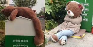 Gấu bông vô gia cư "đổi đời" sang chảnh nhờ người đi đường
